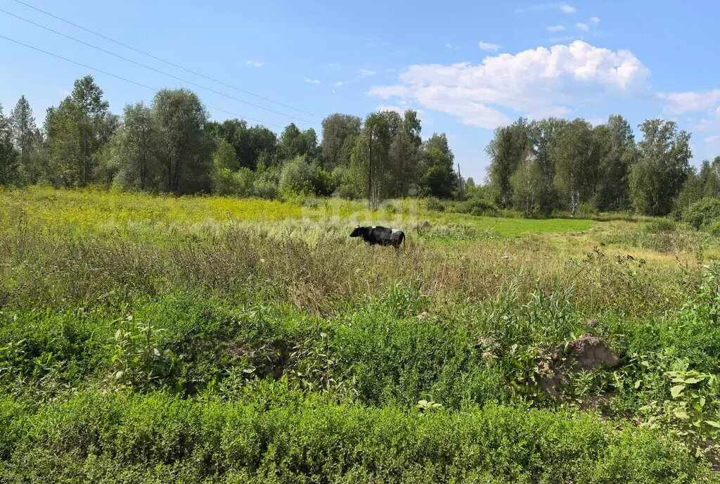 земля р-н Новосибирский п Ленинский ул Зеленая Гагаринская фото 3