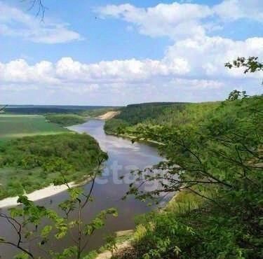 земля р-н Рамонский д Кривоборье ул Песчаная Горожанское с/пос фото 2