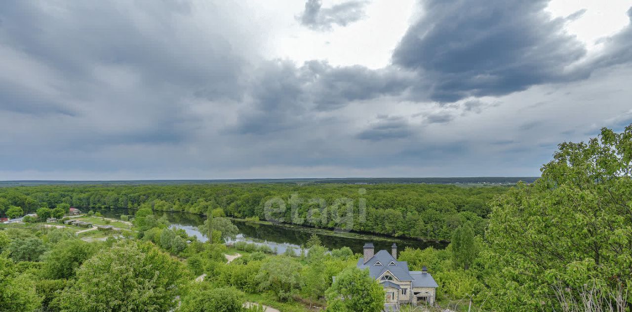 земля р-н Рамонский д Писаревка ул Центральная Карачунское с/пос фото 2