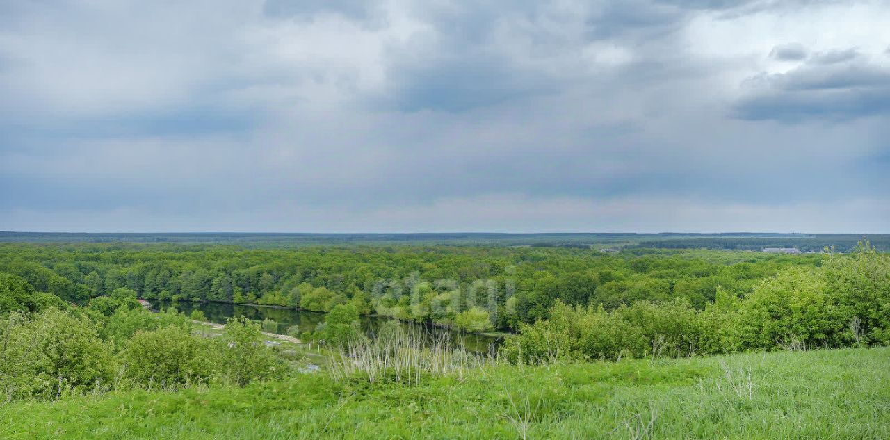 земля р-н Рамонский д Писаревка ул Центральная Карачунское с/пос фото 16