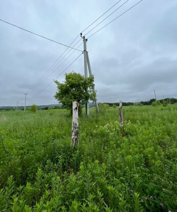 земля г Артем с Кролевцы ул Новороссийская Артёмовский городской округ фото 5