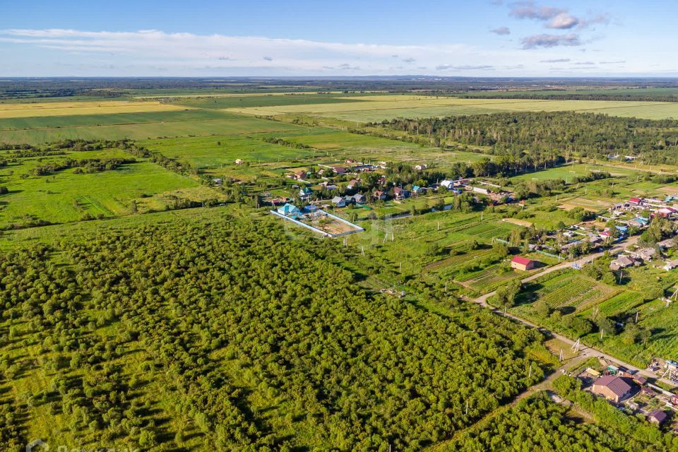 земля р-н Хабаровский с Дружба ул Школьная фото 4