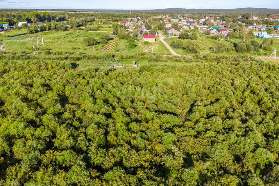 земля р-н Хабаровский с Дружба ул Школьная фото 7