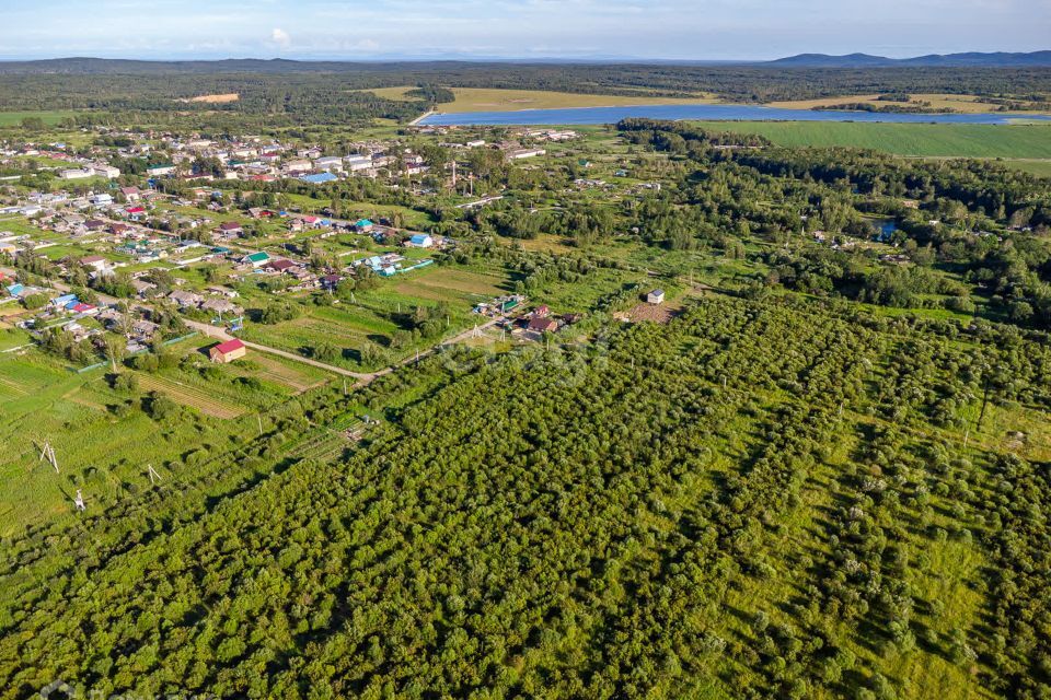 земля р-н Хабаровский с Дружба ул Школьная фото 6