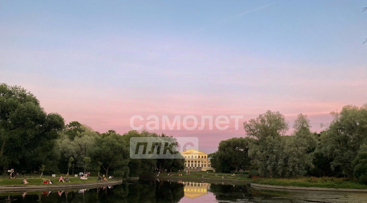 квартира г Санкт-Петербург метро Садовая пр-кт Римского-Корсакова 8/18 фото 22