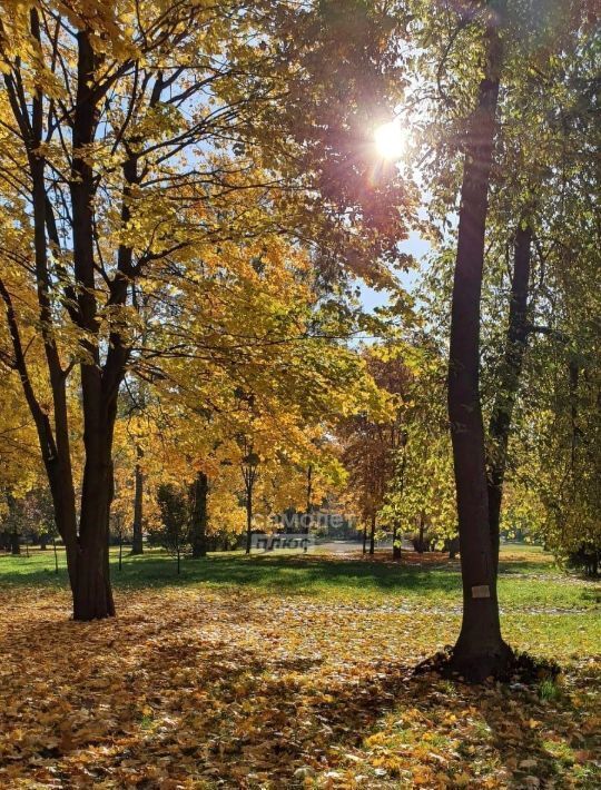 квартира г Санкт-Петербург метро Удельная пр-кт Энгельса 93 фото 37