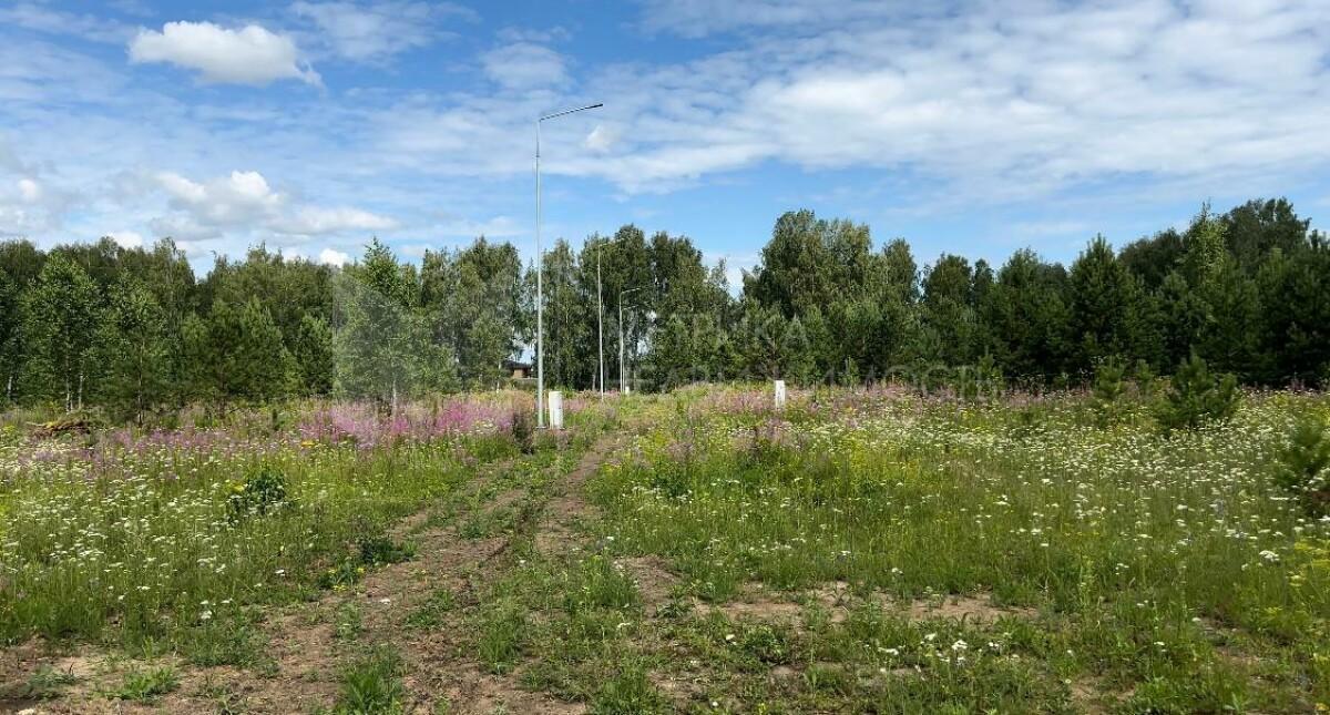 земля г Тюмень ул Ломоносова Каменское сельское поселение, СНТ Новокаменский фото 1