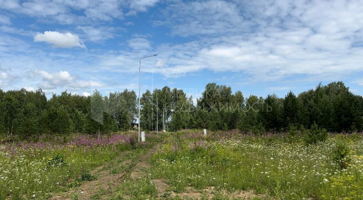 земля г Тюмень ул Ломоносова Каменское сельское поселение, СНТ Новокаменский фото 4