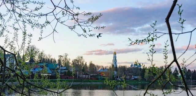 ул Лесная Сергиево-Посадский городской округ, Ивашково СНТ фото