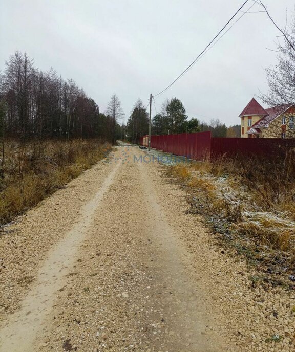 земля р-н Богородский д Выползово ул Новая 13/1 фото 6