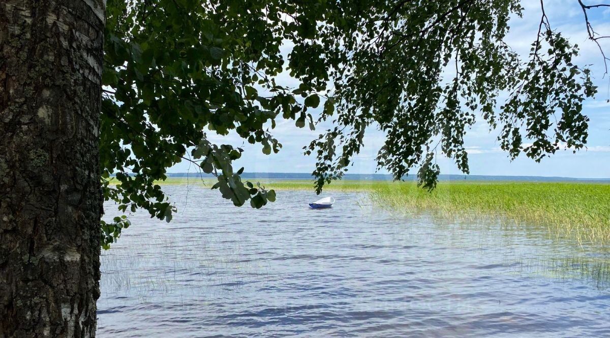 дом р-н Приозерский Плодовское с/пос, Березовая тер фото 39