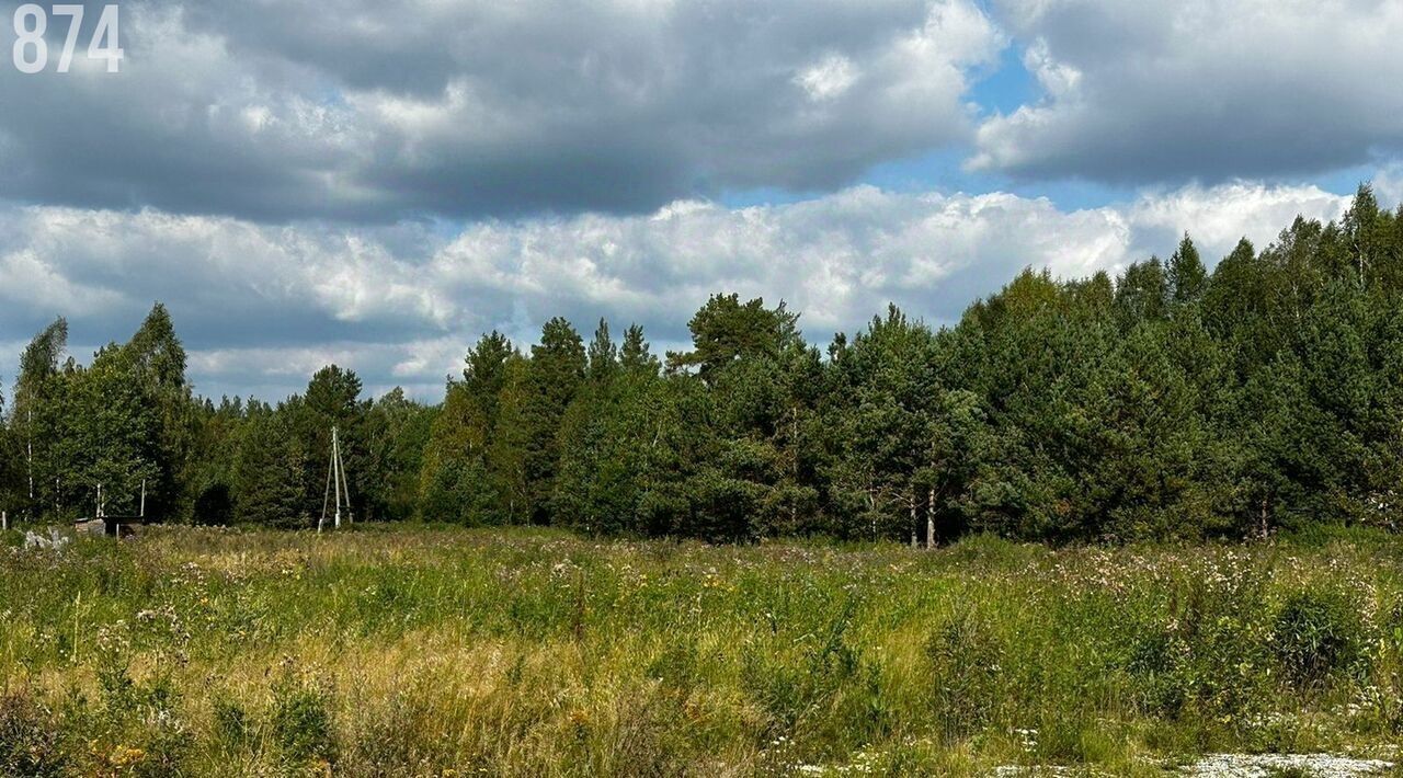 земля г Полевской п Большая Лавровка ул Зеленая фото 1