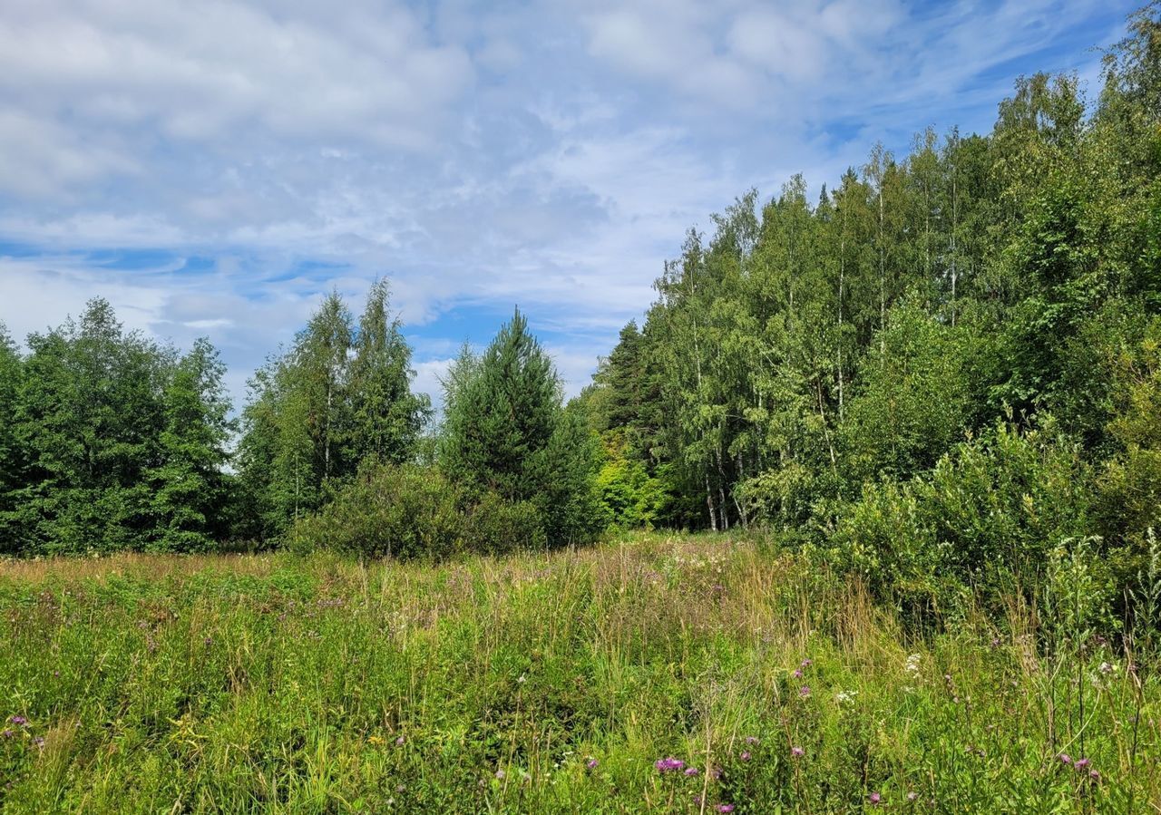 земля р-н Выборгский г Каменногорск Трасса Скандинавия, 106 км, Каменногорское городское поселение фото 10