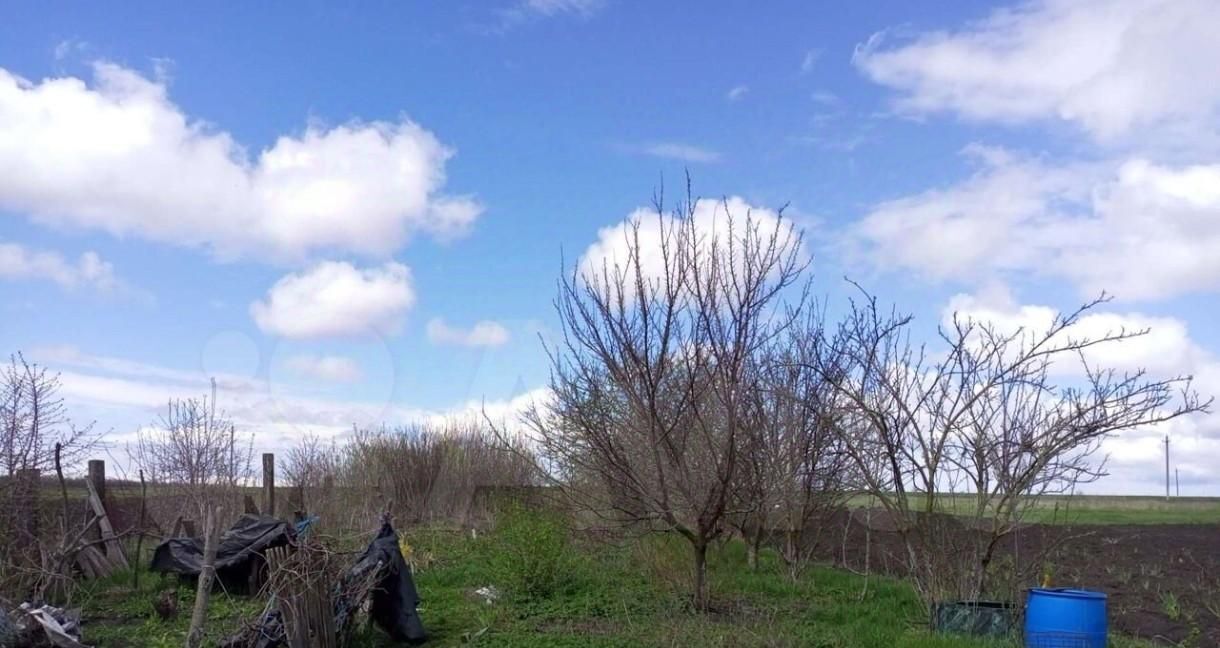 дом р-н Старооскольский с Преображенка ул Центральная 42 Старооскольский городской округ фото 11