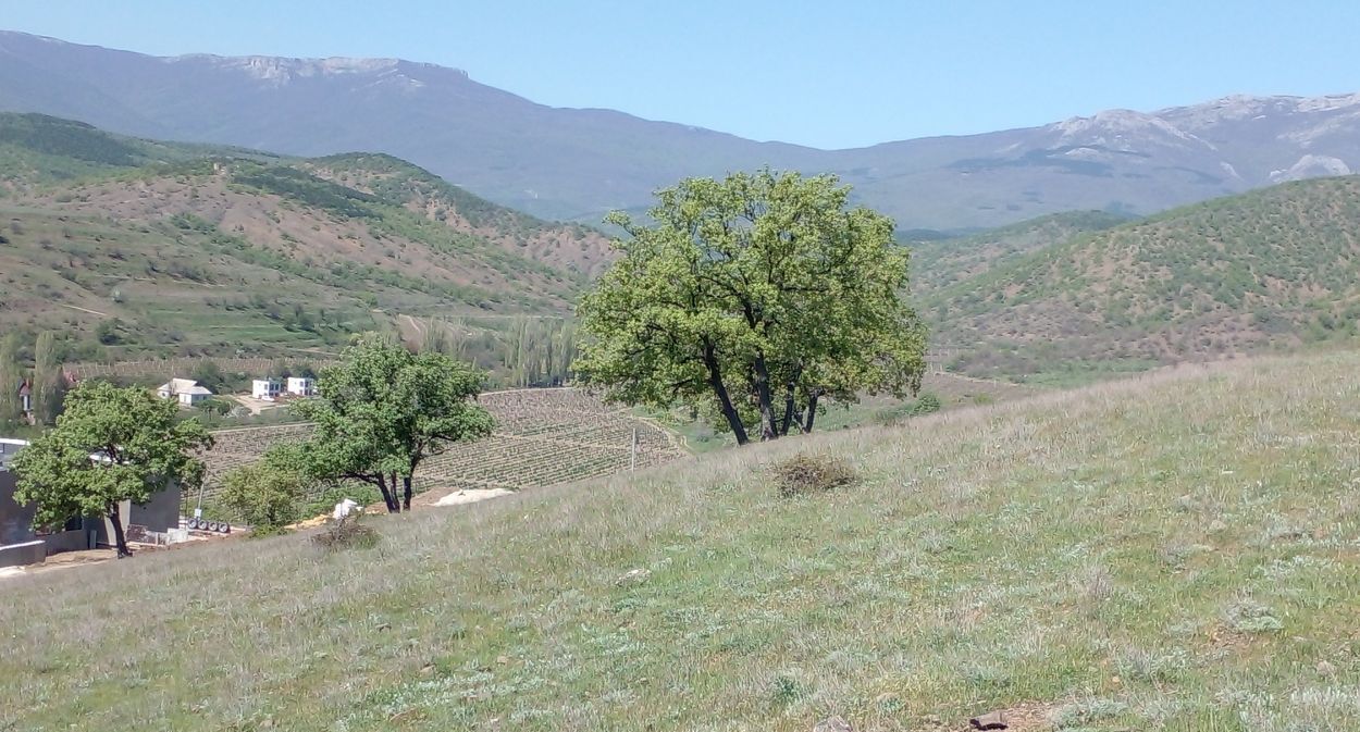 земля г Алушта с Малореченское ул Гайдукова 4 фото 10