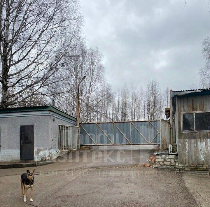 производственные, складские р-н Кстовский г Кстово ул Березовая 1 фото 15