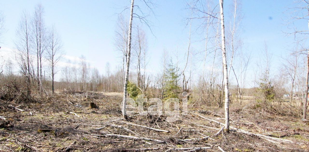 земля р-н Малоярославецкий д Мандрино с пос, Михеево фото 11