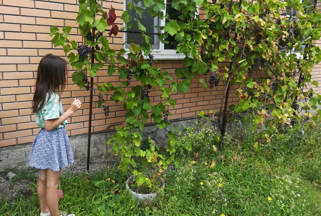 дом р-н Анапский х Куток снт Здоровье ул Грибная муниципальный округ Анапа фото 6