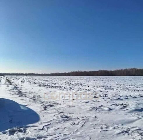 ул Сибирская фото