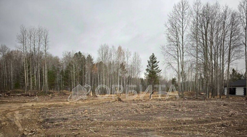 земля р-н Нижнетавдинский с Тюнево фото 1