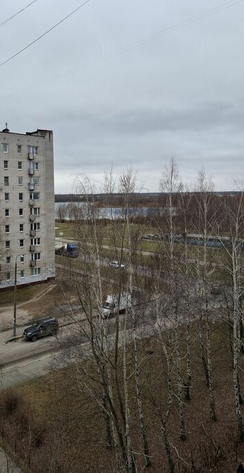 квартира г Нижний Новгород р-н Автозаводский Автозаводская Северный ул Пермякова 20 фото 5