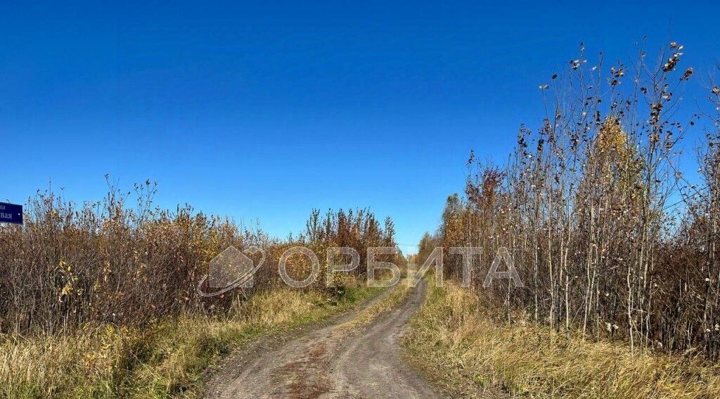 земля г Тюмень р-н Центральный снт Большое Царево-2 фото 9