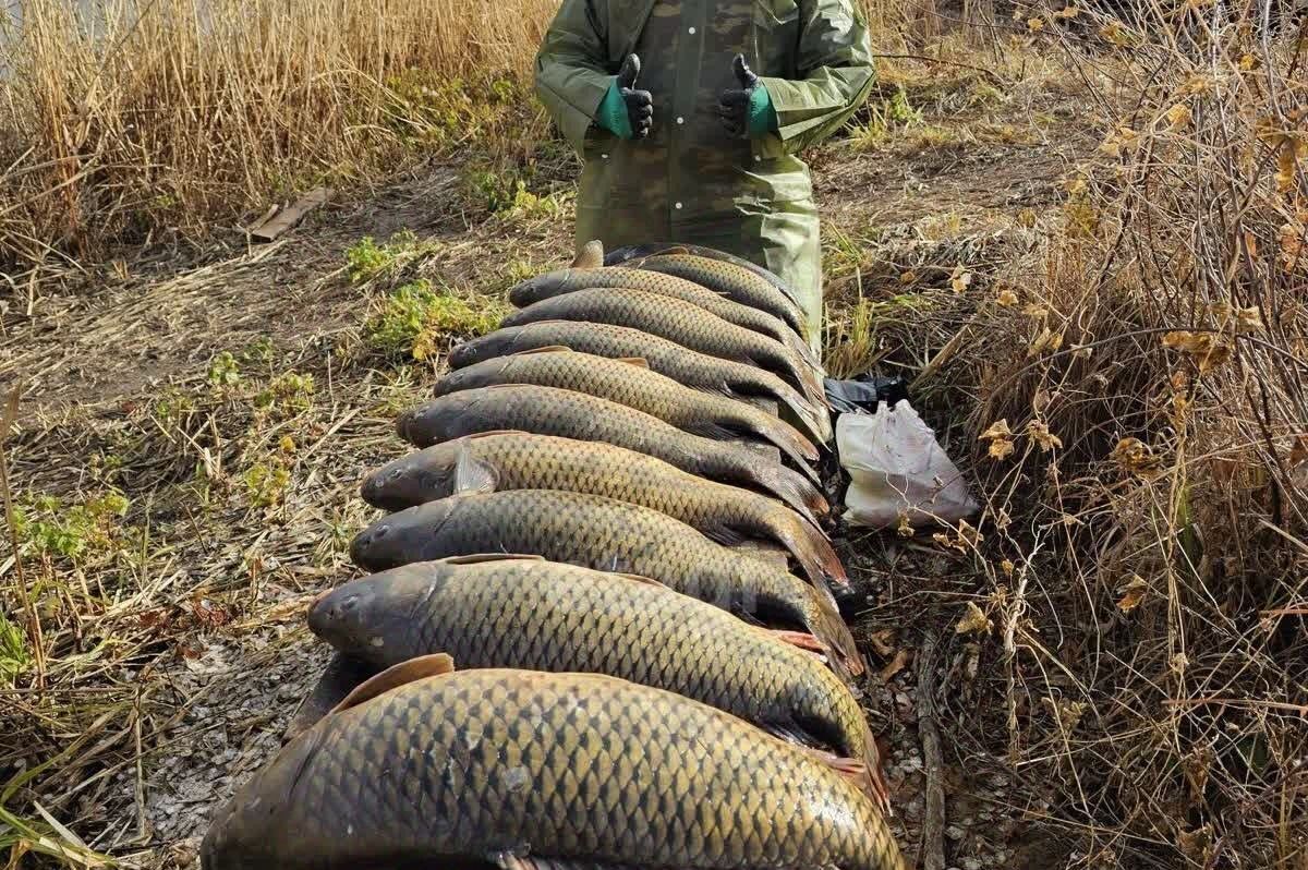 земля р-н Володарский с Новокрасное фото 3