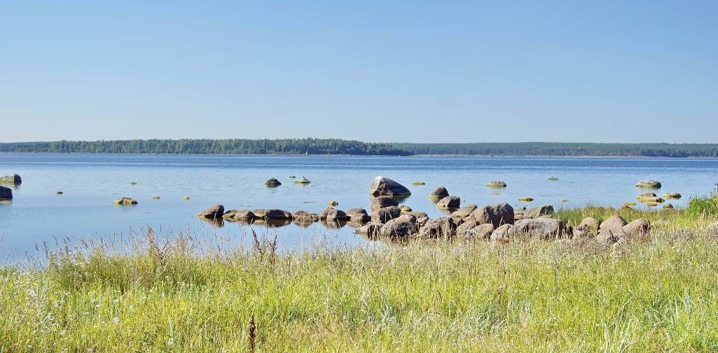 земля р-н Выборгский г Приморск Приморское городское поселение фото 3