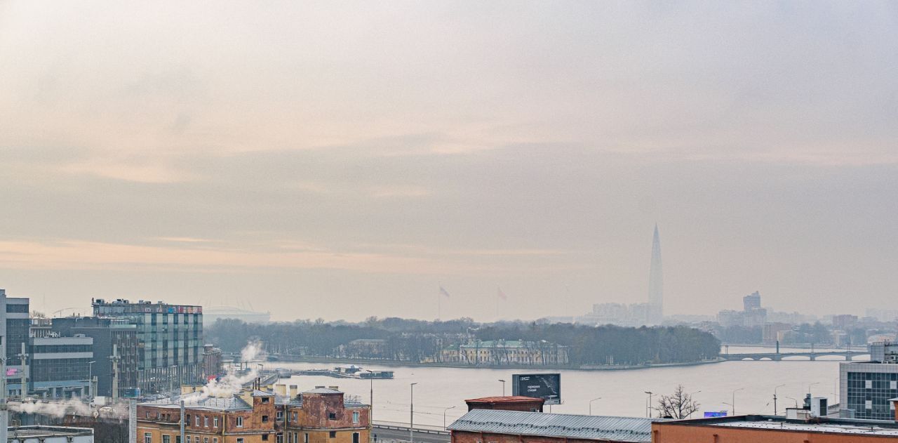 квартира г Санкт-Петербург метро Лесная Выборгская сторона ул Александра Матросова 8к/3 ЖК «Новый Лесснер» округ Сампсониевское фото 29