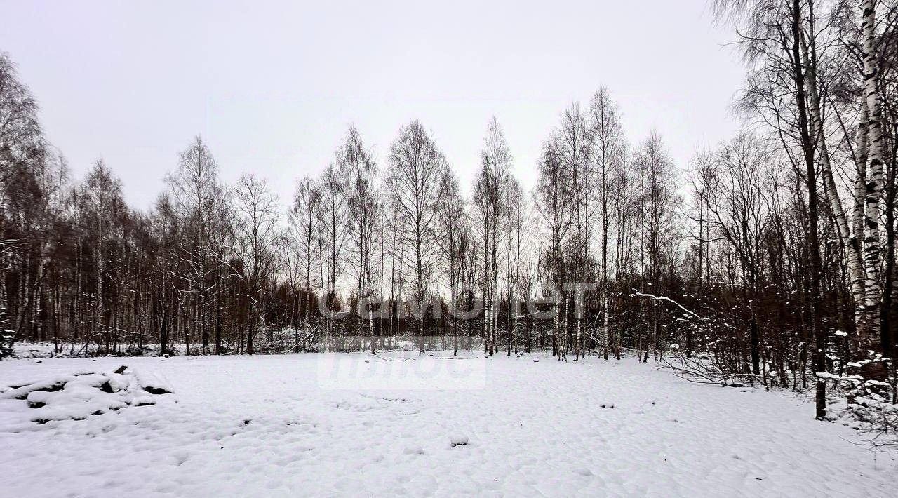 земля г Раменское снт Пион Дмитровский городской округ фото 2