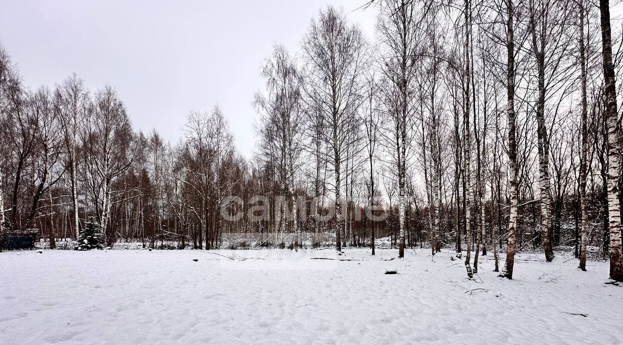 земля г Раменское снт Пион Дмитровский городской округ фото 4