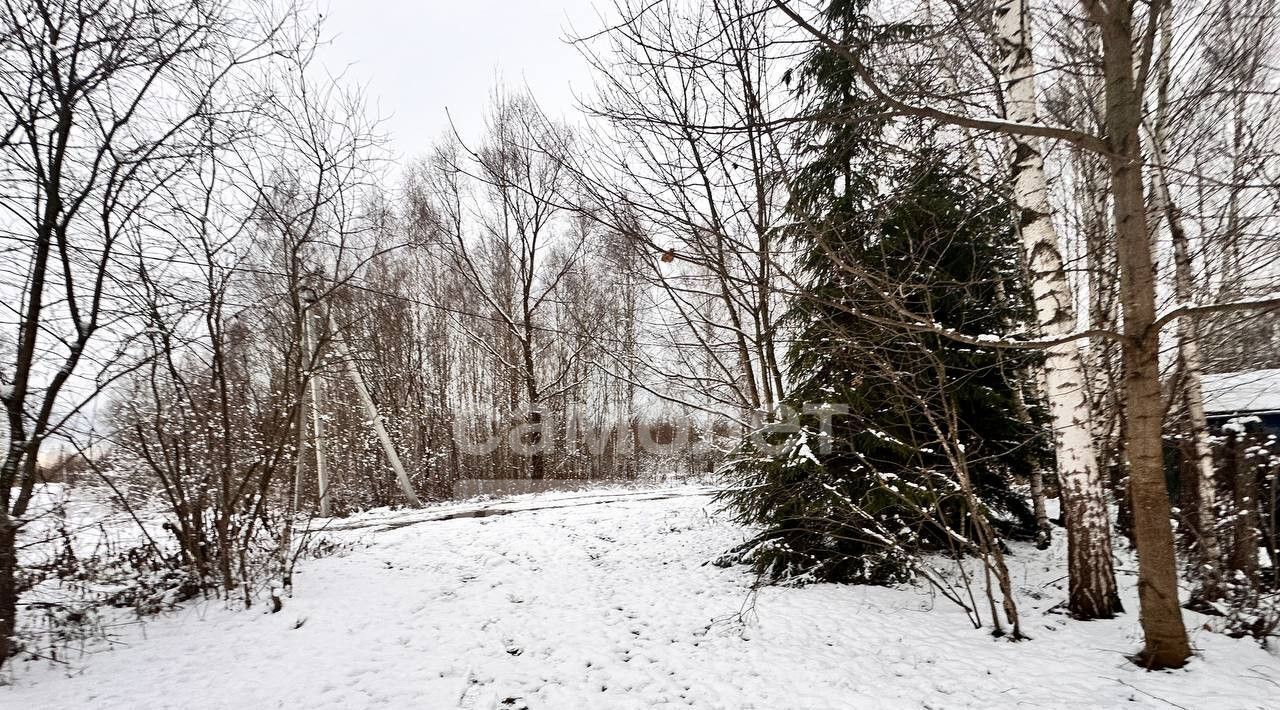 земля г Раменское снт Пион Дмитровский городской округ фото 9