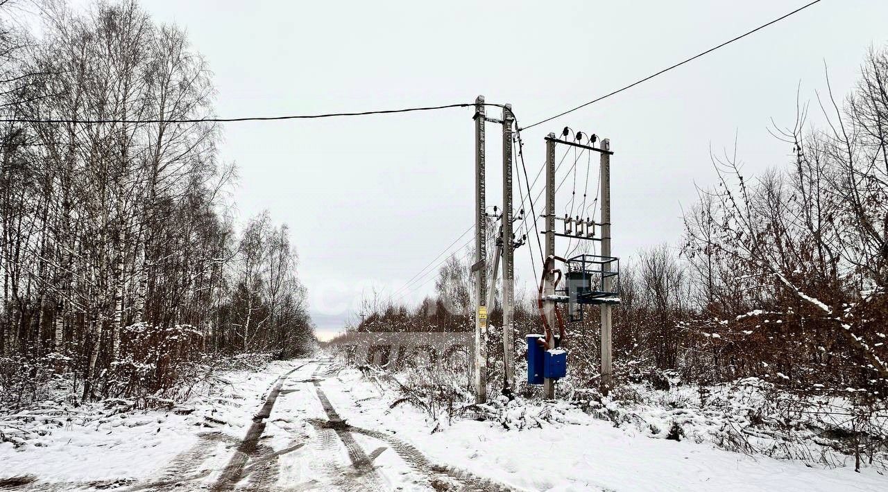 земля г Раменское снт Пион Дмитровский городской округ фото 12