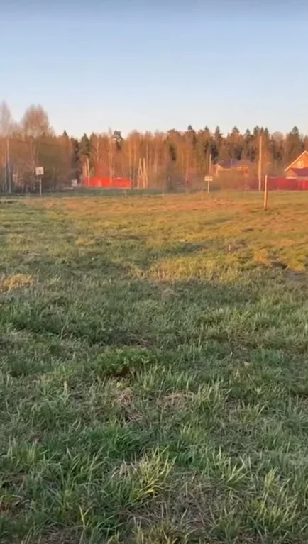 земля городской округ Солнечногорск д Хоругвино снт Кочергино СНТ Блюз, Ленинградское фото 4