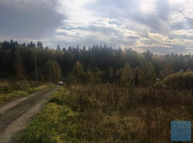 земля д Рыгино СНТ рысь, Ленинградское фото