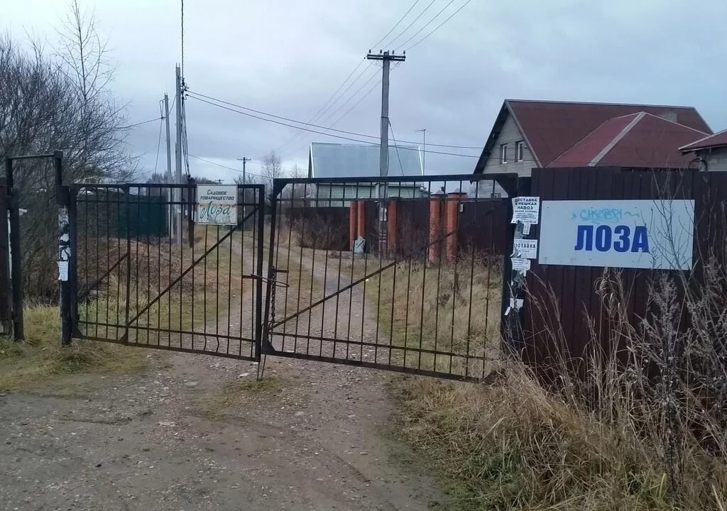 земля городской округ Солнечногорск д Козино СНТ Лоза, Ленинградское фото 3