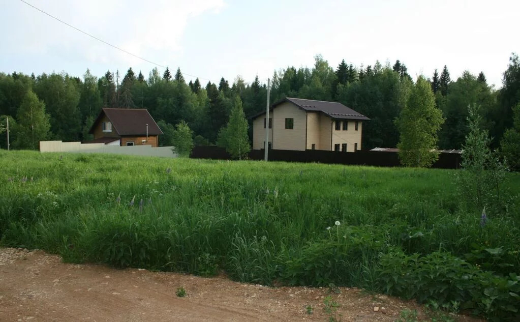 земля городской округ Солнечногорск д Хоругвино СНТ Вишенка, Ленинградское фото 1