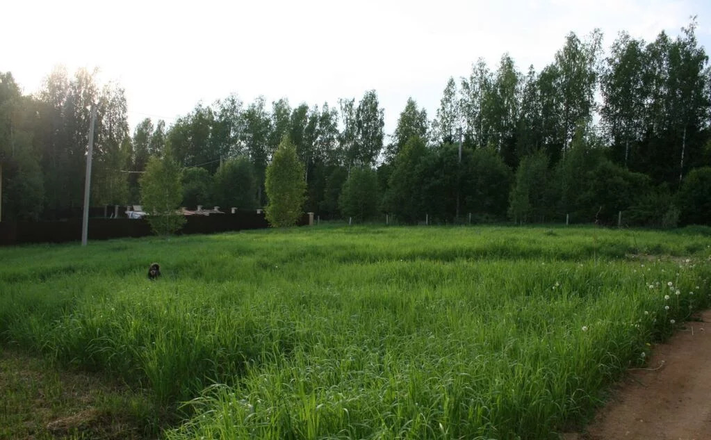 земля городской округ Солнечногорск д Хоругвино СНТ Вишенка, Ленинградское фото 3