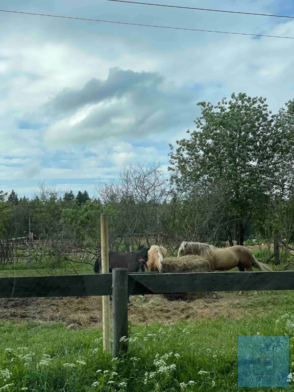 земля городской округ Солнечногорск д Новинки СНТ полянка, Ленинградское фото 3