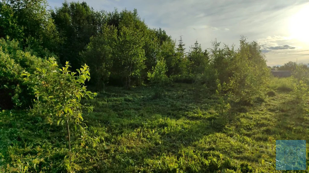 земля городской округ Солнечногорск д Новинки СНТ полянка, Ленинградское фото 4