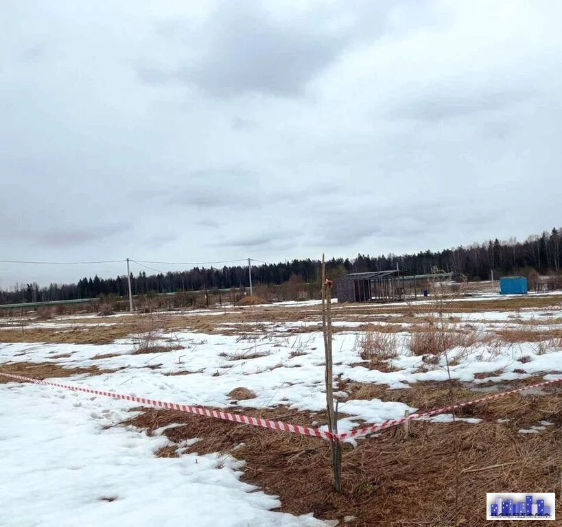 земля городской округ Солнечногорск д Замятино замятино, Ленинградское фото 4