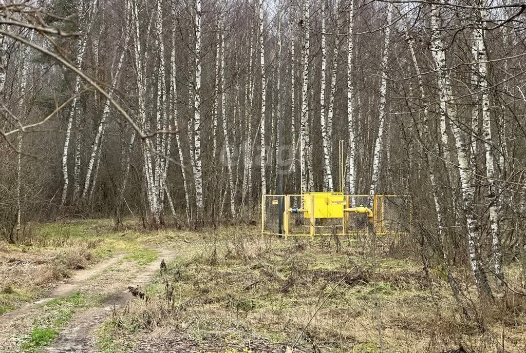 дом р-н Ростовский д Бородино сельское поселение Ишня фото 2