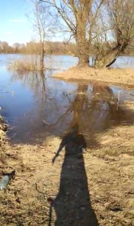 земля р-н Новгородский д Холынья ул Набережная Бронницкое сельское поселение, Пролетарий фото 17