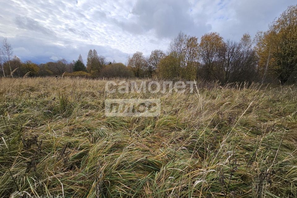 земля городской округ Дмитровский с Якоть 11 фото 1