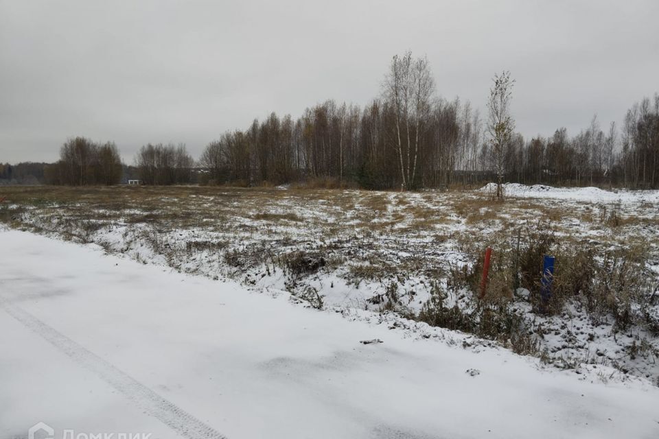 земля городской округ Домодедово Ильинский лес фото 3