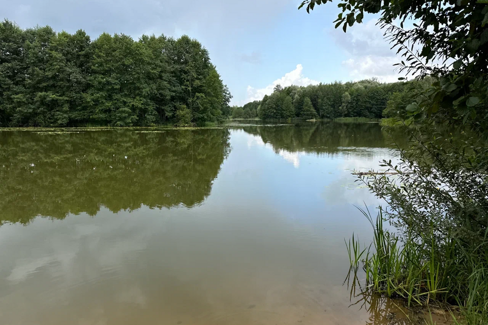 земля городской округ Раменский д Заболотье ул Ульяновская 8 фото 2