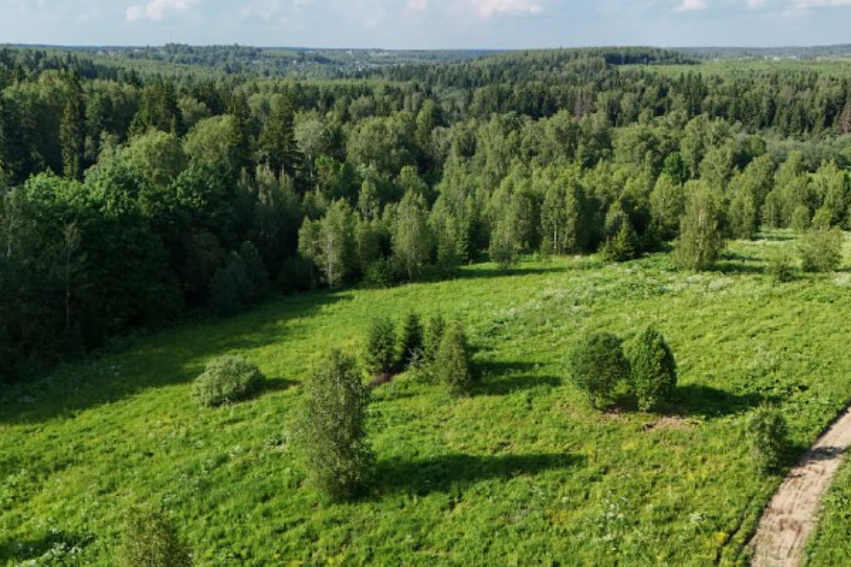 земля городской округ Дмитровский д. Удино фото 2