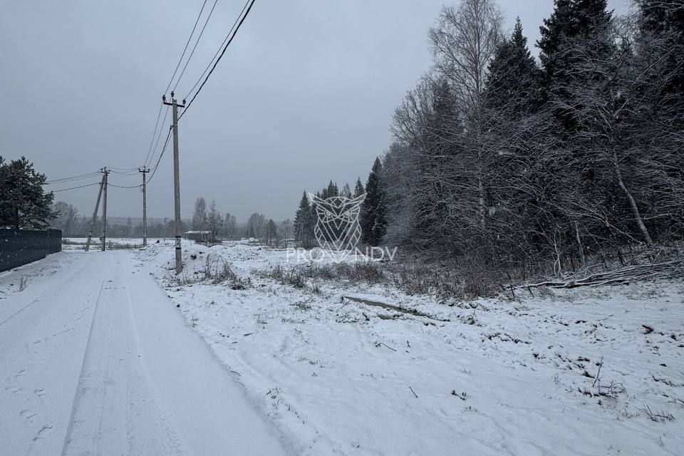 земля городской округ Щёлково д. Воря-Богородское фото 3