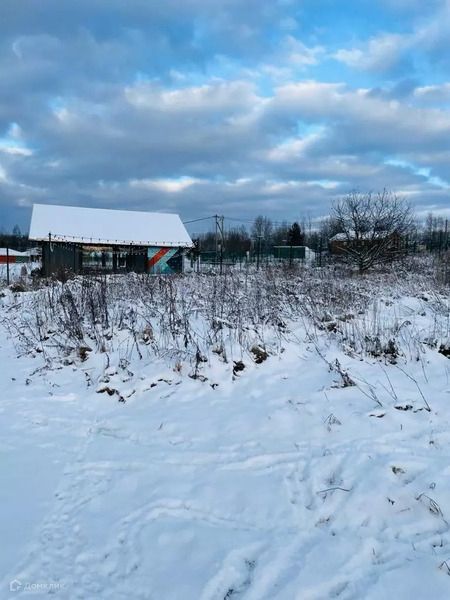 земля р-н Приозерский д Светлое ул Центральная фото 3