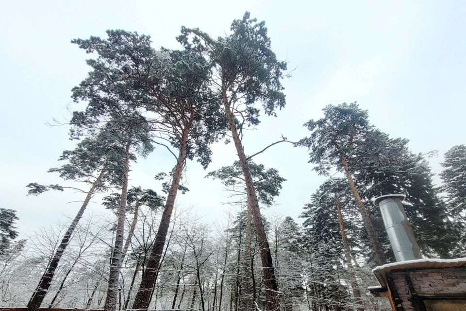 земля г Королев ул Калинина 17 Королёв городской округ фото 4